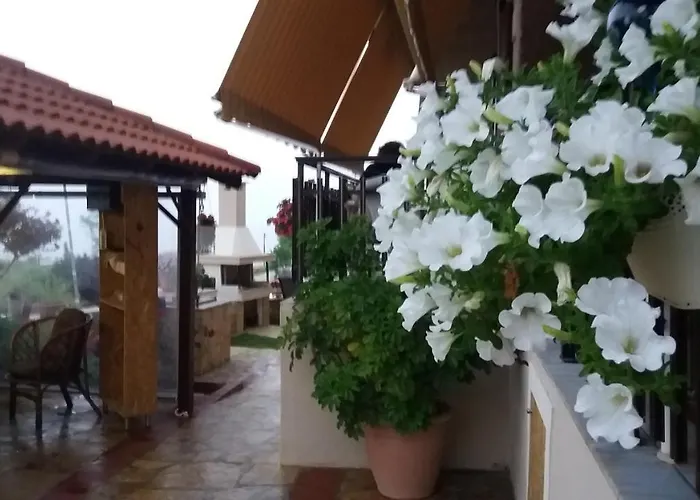 Mamas Reas